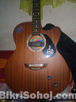 Givson guitar for sale